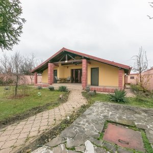 Casa pe parter la liziera padurii Snagov.