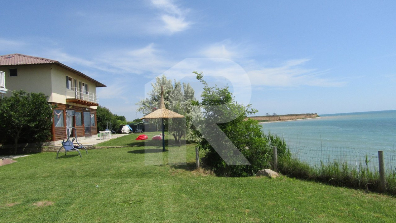 Analys - colt de rai salbatic la 23 august. Pensiune 