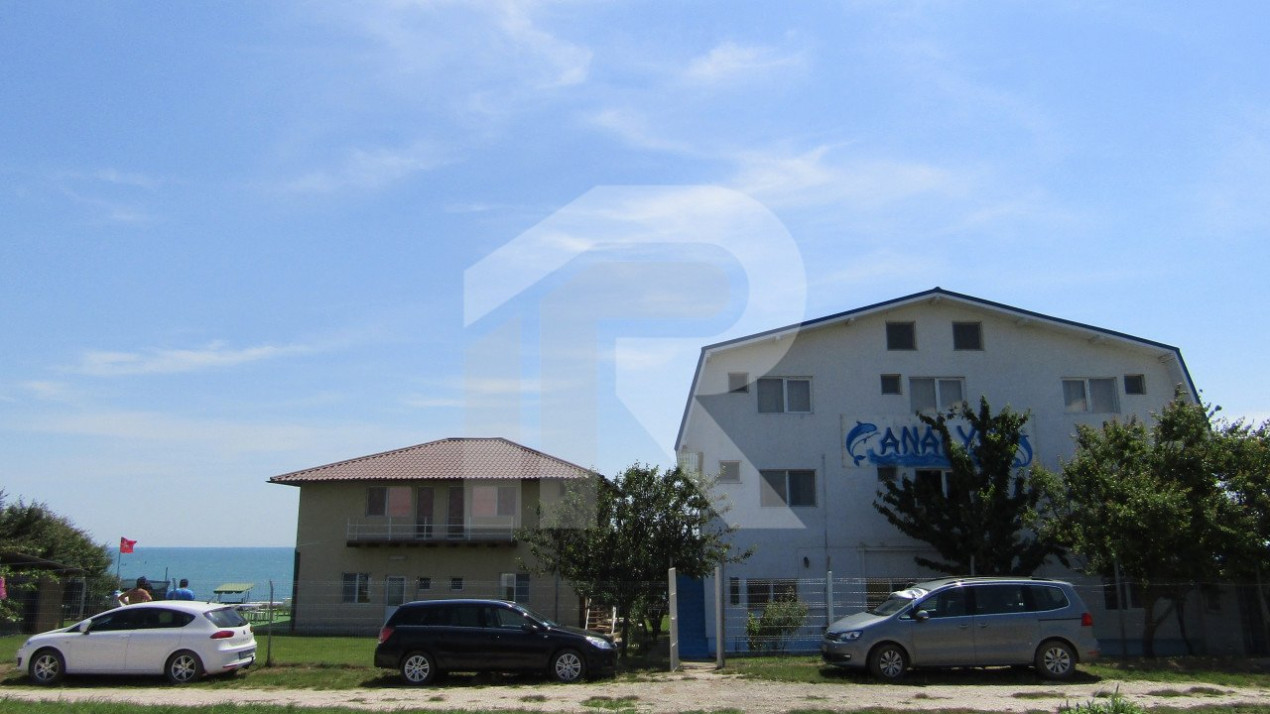 Analys - colt de rai salbatic la 23 august. Pensiune 