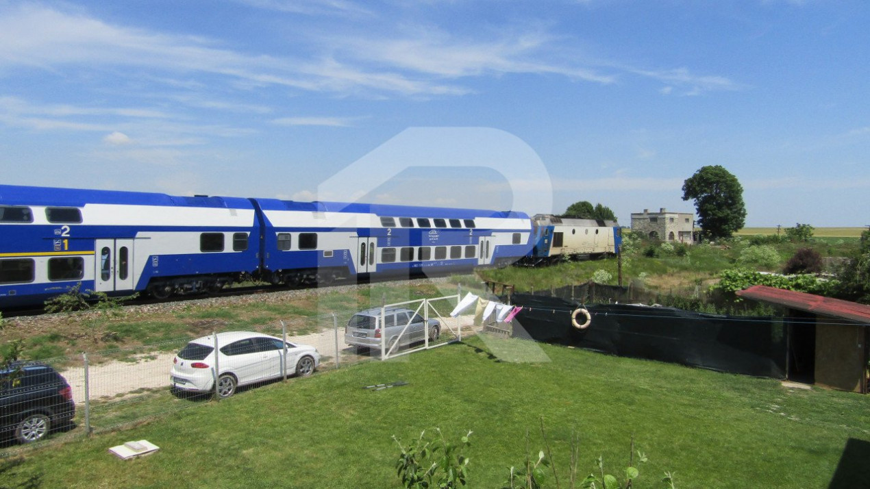 Analys - colt de rai salbatic la 23 august. Pensiune 