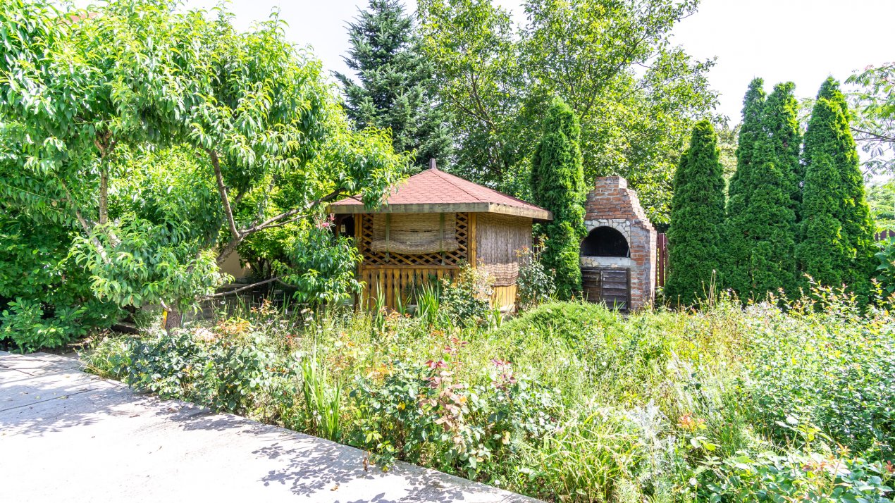 Casa PERFECTA de lemn, toate utilitatile, gradina superba, Branesti - Pasarea