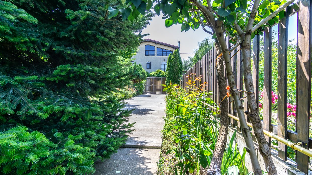 Casa PERFECTA de lemn, toate utilitatile, gradina superba, Branesti - Pasarea