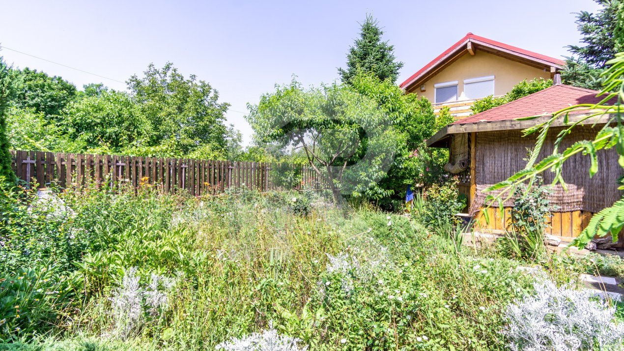 Casa PERFECTA de lemn, toate utilitatile, gradina superba, Branesti - Pasarea