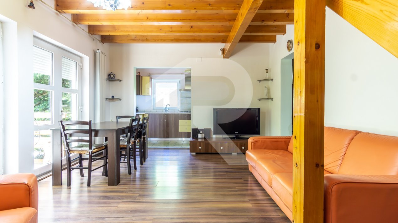 Casa PERFECTA de lemn, toate utilitatile, gradina superba, Branesti - Pasarea