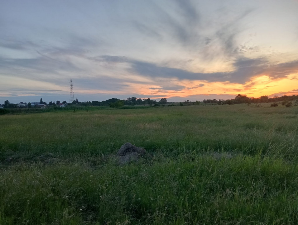 SUPER OCAZIE SE VINDE TEREN IN CREVEDIA-CIOCANESTI