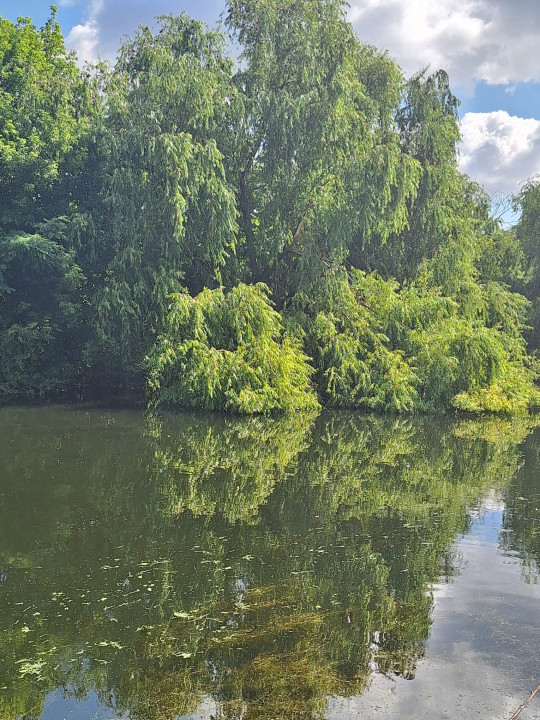 MEGA OCAZIE SE VINDE TEREN CU DESCHIDERE LA LACUL FUNDENI