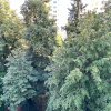 Doamna Ghica, Berindei, apartament cu 2 camere decomandat, pet friendly, et 5/10