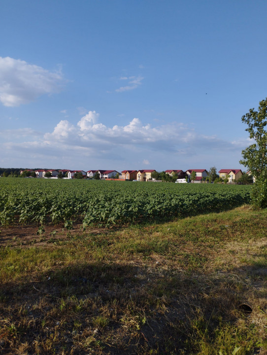 SE VINDE TEREN INTRAVILAN,CONSTRUCTII IN ZONA BALOTESTI LA CEL MAI MIC PRET