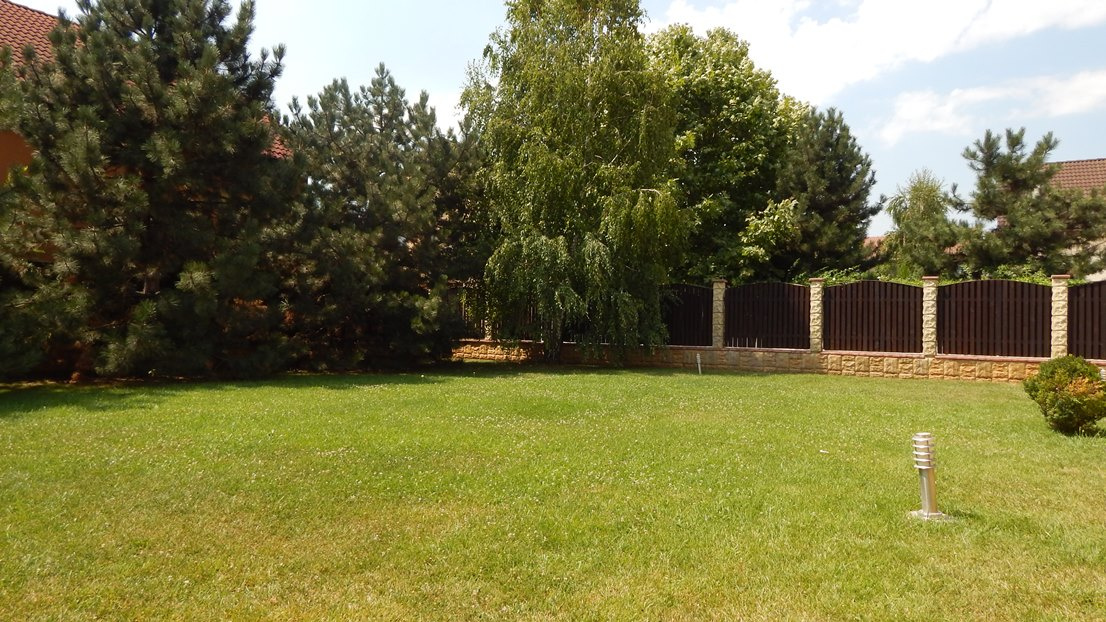 IANCU NICOLAE, zona British School ,vila cu piscina si curte generoasa