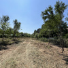 Teren Manastirea Snagov. Deschidere lac 22 m. Front stradal 30 metri. 