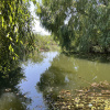 Teren Manastirea Snagov. Deschidere lac 22 m. Front stradal 30 metri. 