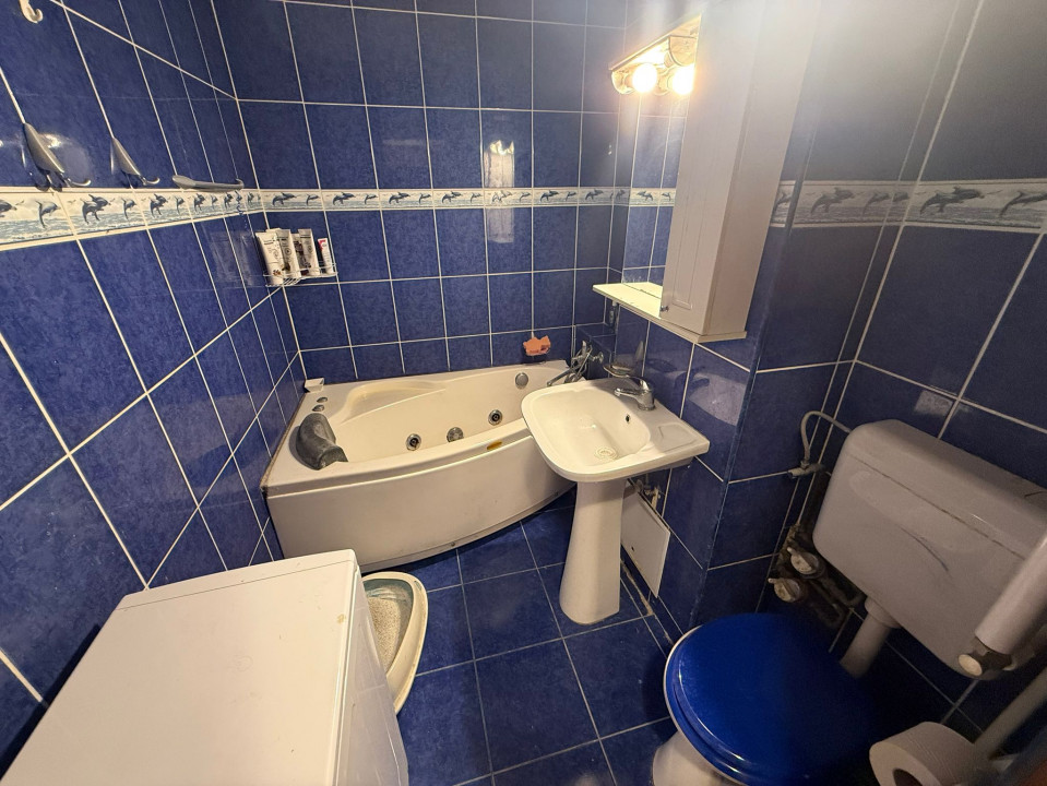 Apartament 3 camere Lacul Tei Teiul Doamnei