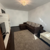 Apartament de inchiriat Teiul Doamnei Lacul Tei